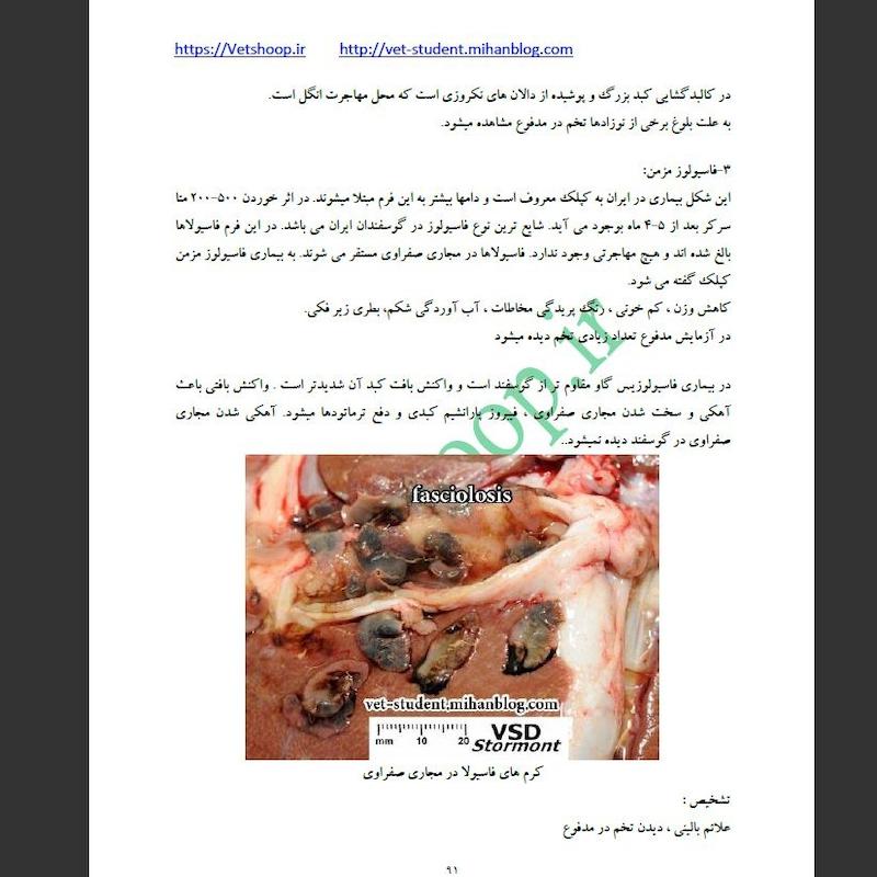 بیماری های انگلی در گاو 4