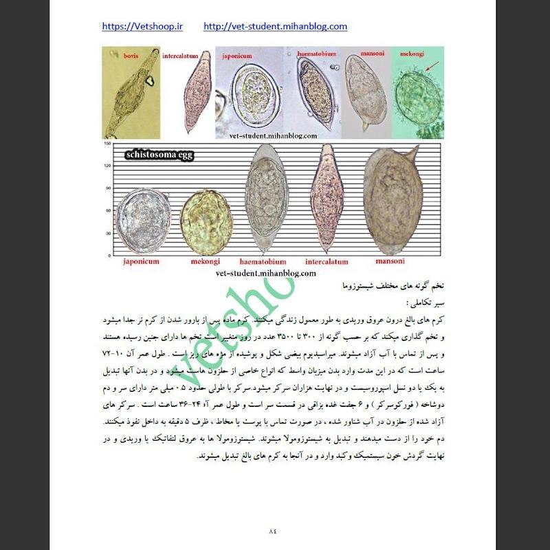 بیماری های انگلی در گاو 3