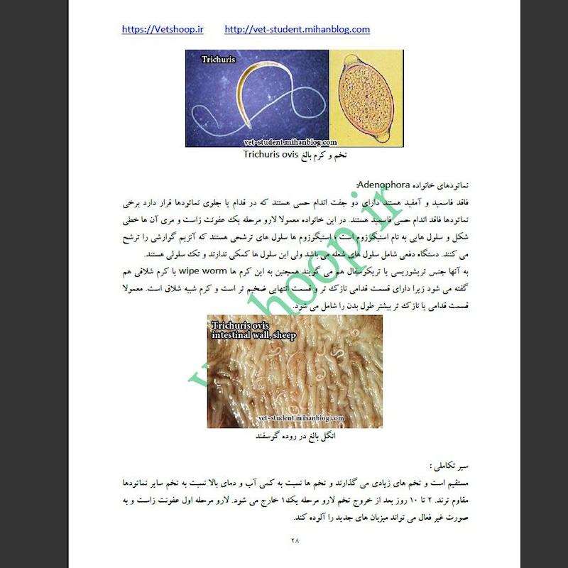 بیماری های انگلی در گاو 1