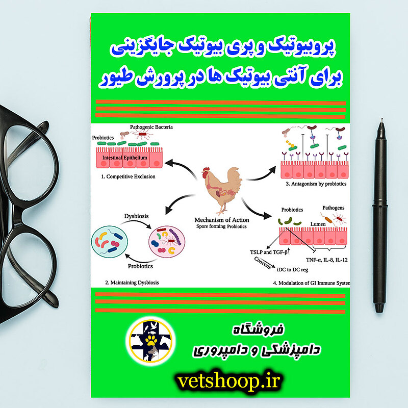 فایل آموزشی پروبیوتیک و پریبیوتیک جایگزینی برای آنتی بیوتیک ها در پرورش طیور