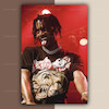 پک پوستر Playboi Carti | کد G56