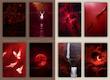 پک پوستر Red Calm | کد G190