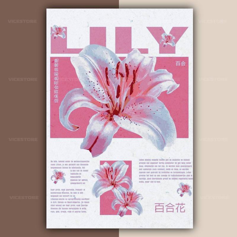 پک پوستر Velvet Pink  | کد G243