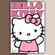 پک پوستر Kitty | کد G257
