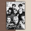 پک پوستر Stray Kids | کد G265