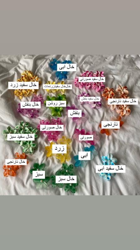 کلیپس گل (پلومریا)