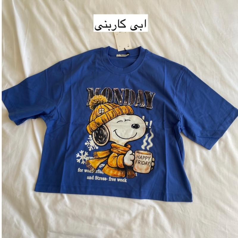 تیشرت اسنوپی قهوه (رنگبندی)
