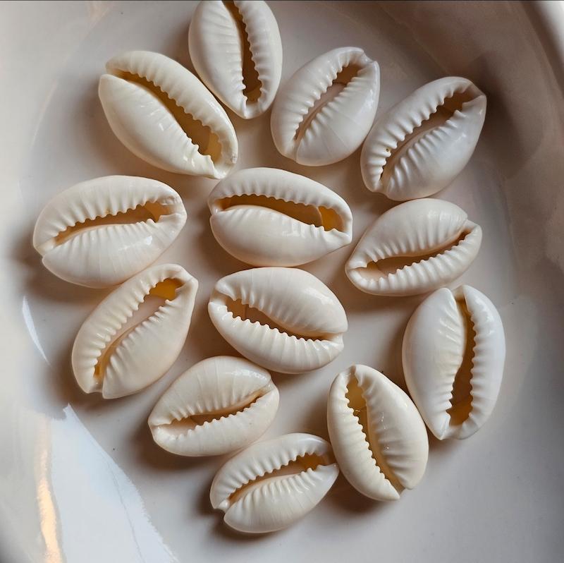 صدف سپیرا (بسته ۱۰ عددی)🐚