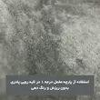 پادری حمام و سرویس بهداشتی مخمل ساده 4 لایه اسفنج دار برند وینوما
