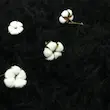 پادری خز پرز بلند ایرانی ترمز دار برند وینوما