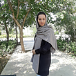 شال فیلی