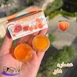 ماسک لب و اسکراب لب دوقلو میوه ای