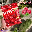 ماسک ورقه ای chovemoar میوه ای