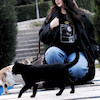 CATWOMEN