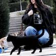 CATWOMEN
