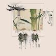 Spring / بهار