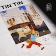 TIN TIN Bushehr / تن‌ تن