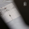 zutopia / زوتوپیا