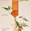رایحه شامپو بدن بث اند بادی Bath & Body مدل Pure Wonder