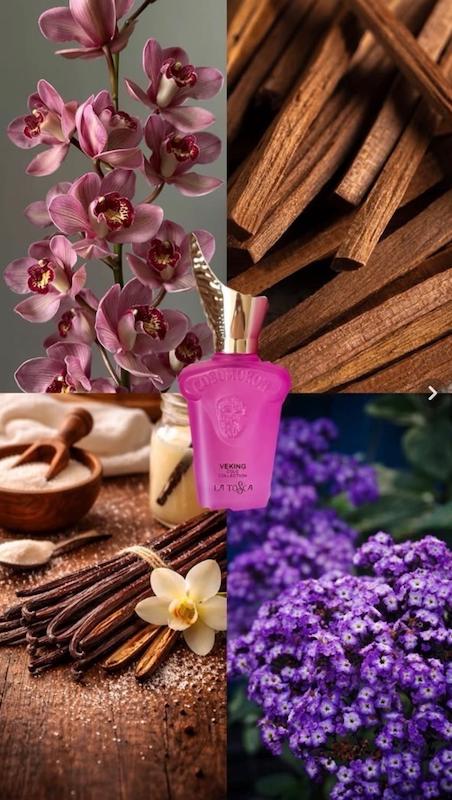 عطر کازاموراتی لاتوسکا(۲۵ml)🩷