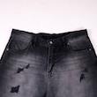 SHIRZAD pant