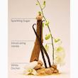 بادی میست شاین دار بث اند بادی Bath & Body رایحه Warm Vanilla Sugar