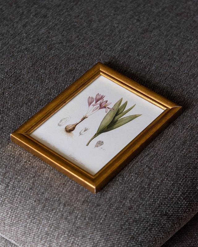 vintage floral