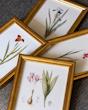 vintage floral