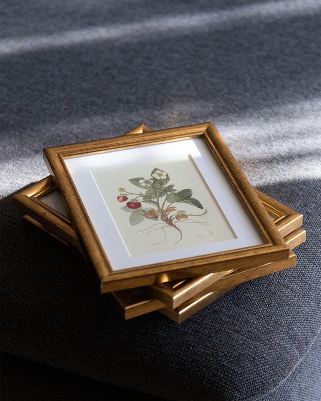 عطرِ لحظه