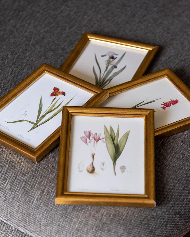 مجموعه تکِ گل