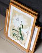 LILIES