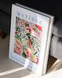 Matisse