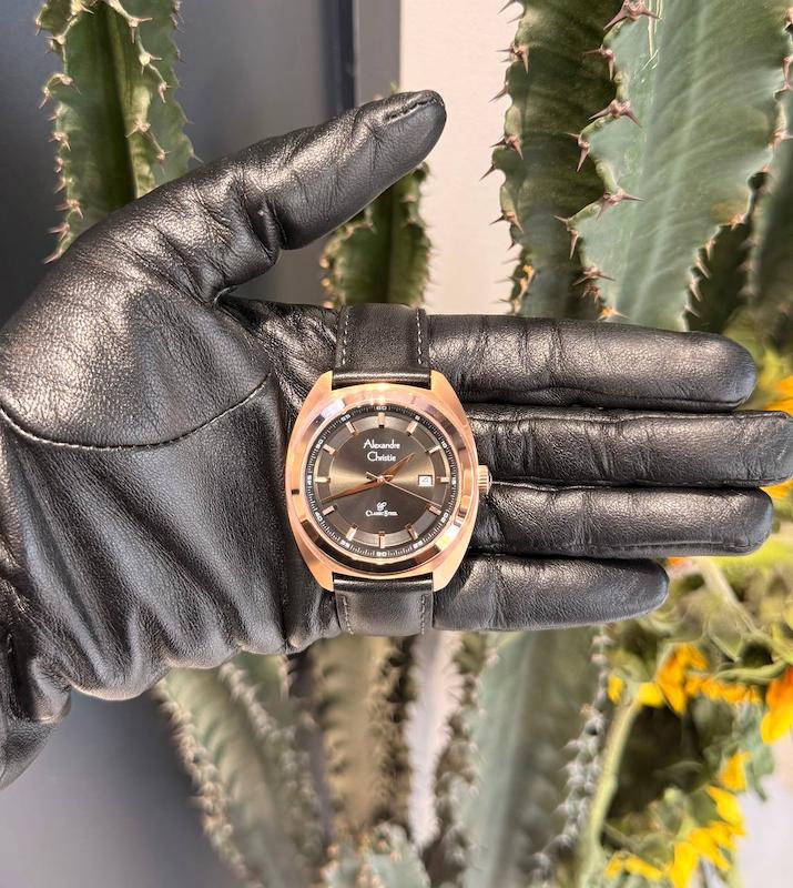 ساعت مردانه چرم الکساندر کریستی