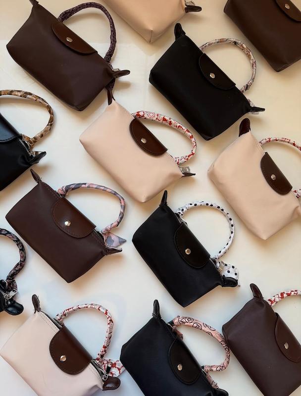 کیف مینی لانگ چمپ