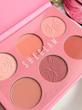 پالت رژگونه پودری دوپ شیگلم برند sheglam