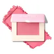 رژگونه پودری دریم تاچ شیگلم