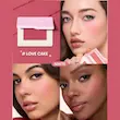 رژگونه پودری دریم تاچ شیگلم