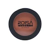 کانتور رژگونه رویسا ROISA