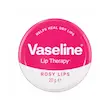 بالم لب وازلین مدل Rosy Lips (حاوی روغن گل رز)