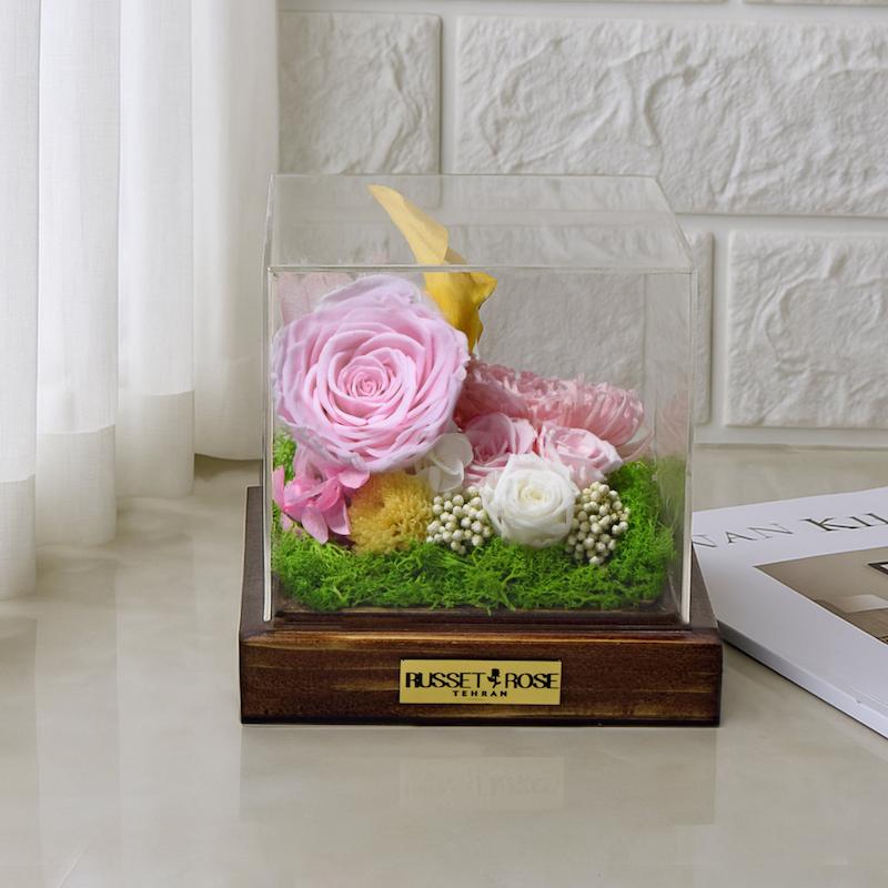 باکس کایلی با رز جاودان صورتی 