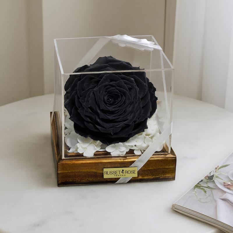 باکس کایلی با رز جاودان کینگ مشکی و هورتانسیا جاودان سفید