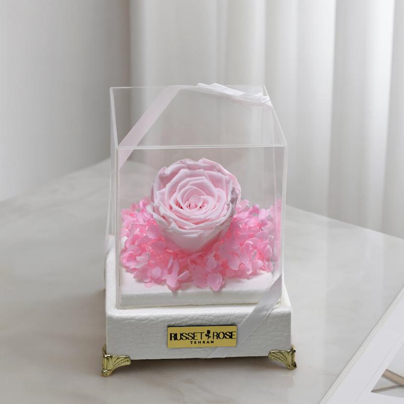 باکس ملانژ با رز جاودان صورتی ملایم با هورتانسیا صورتی هدیه ای خاص و ماندگار