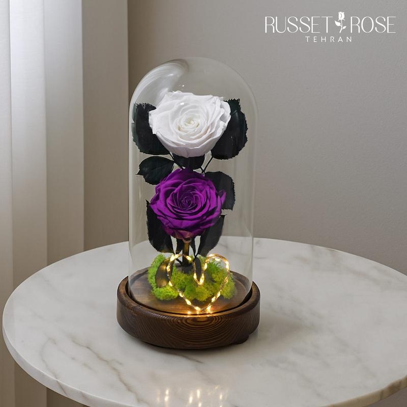 باکس دیو ودلبر با رز جاودان سفید وبنفش