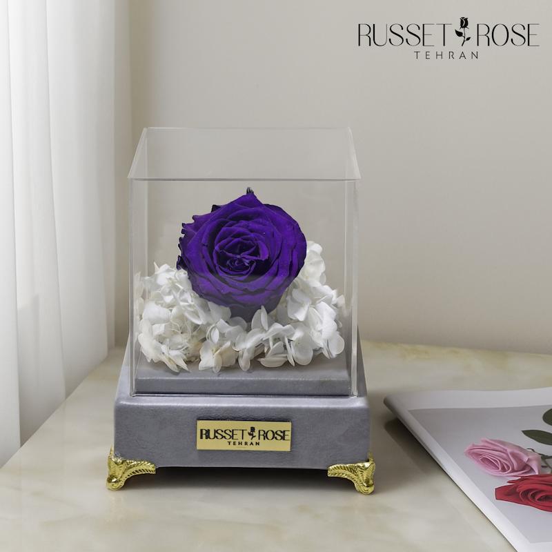 باکس ملانژ با رز جاودان بنفش به همراه هورتانسیا جاودان هدیه ای ماندگار