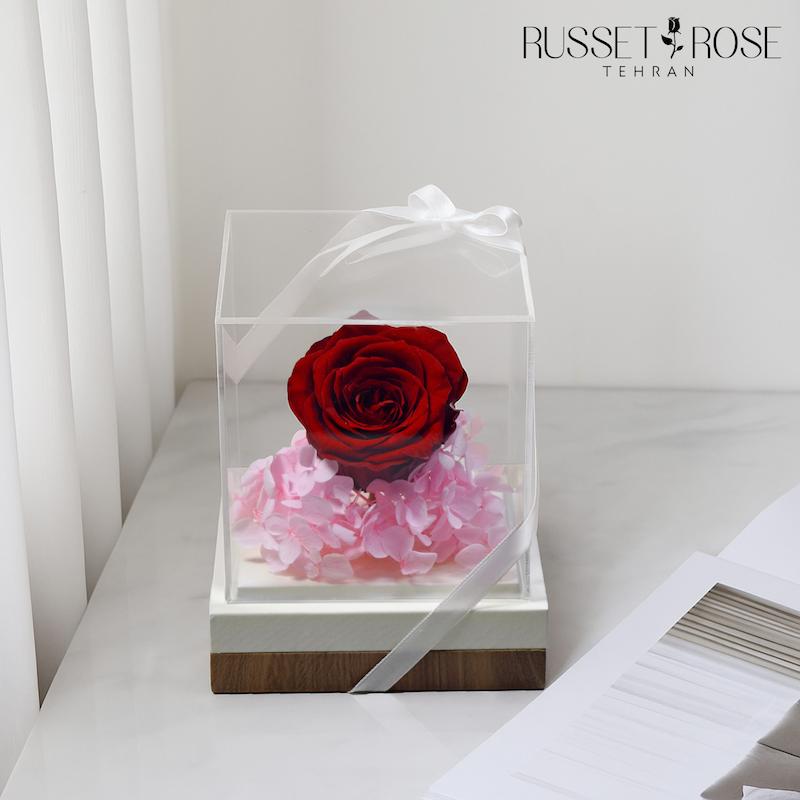 باکس افرا با رز جاودان قرمز و هورتانسیا جاودان صورتی هدیه خاص و ماندگار