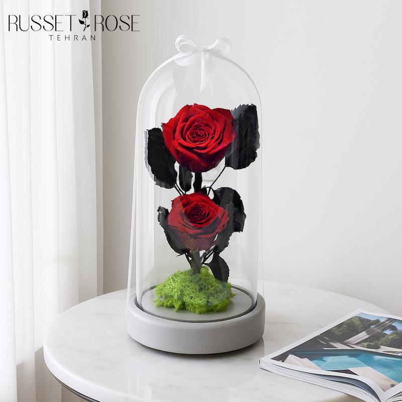 باکس دیو ودلبر با رز جاودان قرمز و خزه ایسلندی جاودان