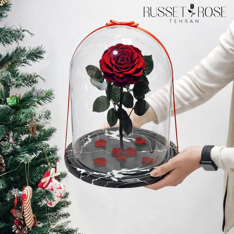 باکس دیو دلبر با رز جاودان کینگ قرمز کادو خاص