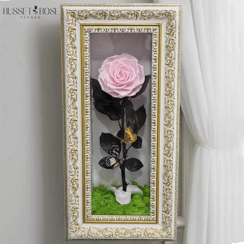 باکس فرامورا با رز جاودان کینگ صورتی