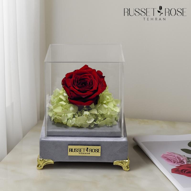 باکس ملانژ با رز جاودان قرمز و هورتانسیا سبز