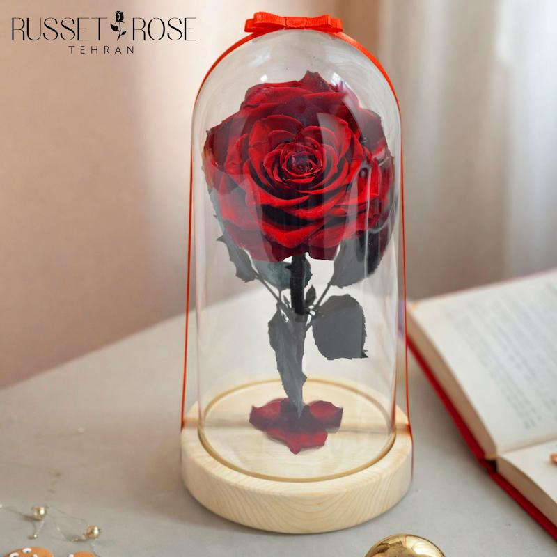 باکس دیو ودلبر با رز جاودان کینگ قرمز ماندگاری 5 سال